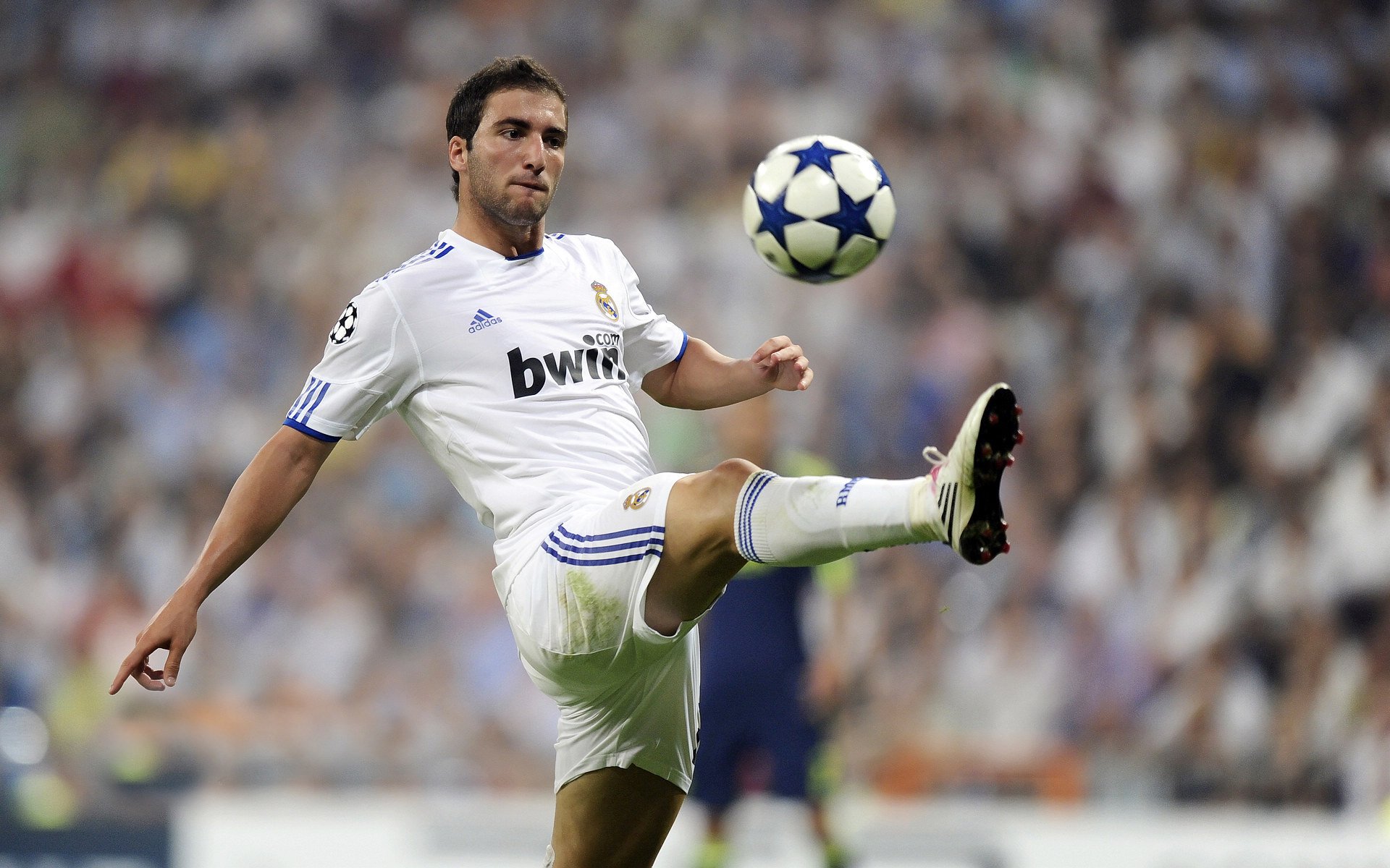 LEYU乐鱼体育官方网站-快船队稳扎稳打，争取更高排位，快船队成员名单